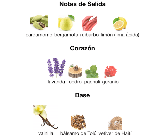 Phantom Parfum 100ml EDP 1.1 Premium - Perfumes Colombia