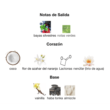 Armaf Island Bliss 100ML EDP 1.1 Premium - Perfumes Colombia