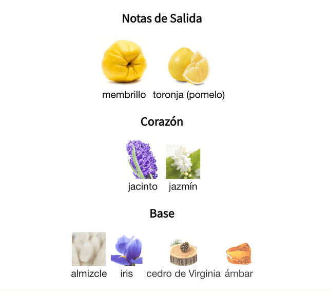 Chance Chanel Eau De Parfum 100ml EDT 1.1 Premium - Perfumes Colombia