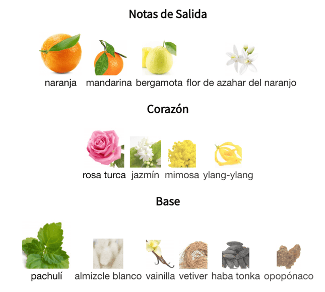 Coco Mademoiselle Chanel 1.1 Premium - Perfumes Colombia