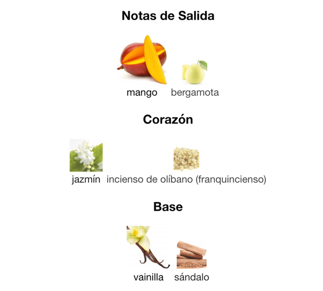 Fame 100ml EDP 1.1 Premium - Perfumes Colombia