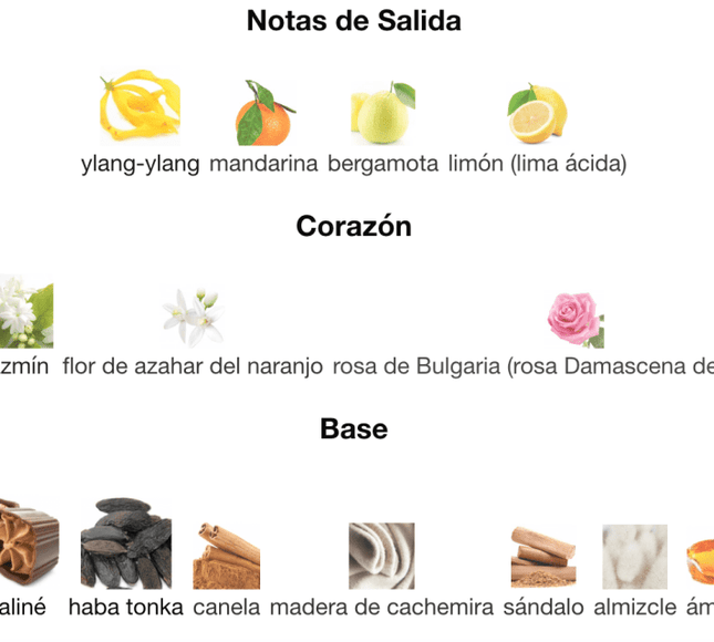 Good Girl Légère Carolina Herrera 1.1 Premium - Perfumes Colombia