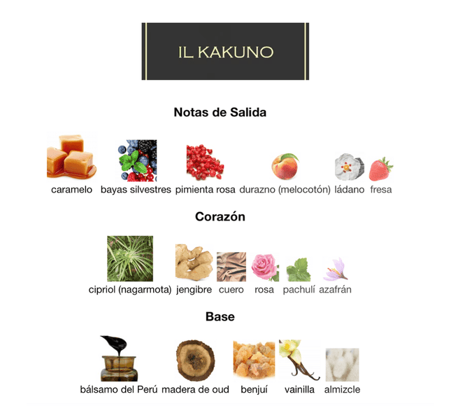 Il Kakuno ILMIN 30ML EDP 1.1 Premium - Perfumes Colombia