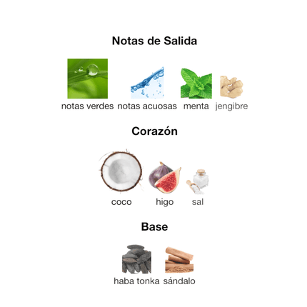 JPG Le Beau Paradise Garden 125ML EDP 1.1 Premium - Perfumes Colombia