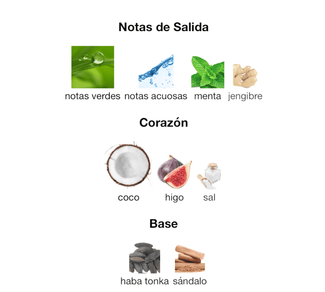 JPG Le Beau Paradise Garden 125ML EDP 1.1 Premium - Perfumes Colombia