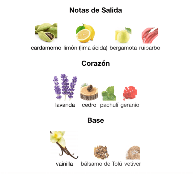 Phantom intense 100ml EDP 1.1 Premium - Perfumes Colombia