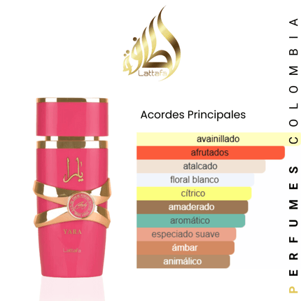 SET Yara X3 C/U 30ML EDP 1.1 Premium - Perfumes Colombia