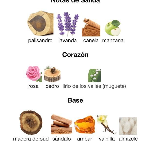 Xerjoff Alexandria II 100ml EDP 1.1 Premium - Perfumes Colombia