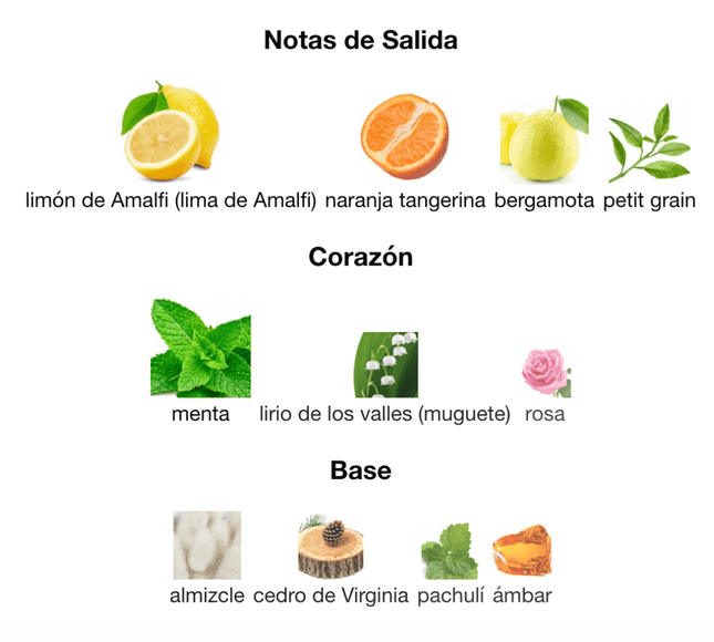 Xerjoff Renaissance 100ml EDP 1.1 Premium - Perfumes Colombia