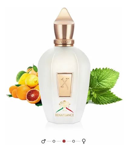 Xerjoff Renaissance 100ml EDP 1.1 Premium - Perfumes Colombia